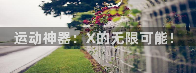 好博体育官方正版app神州：运动神器：X的无限可能！