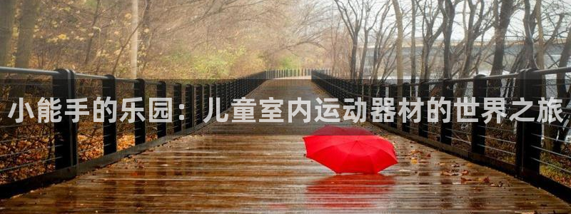 好博体育官方正版app娱乐是那个系列的台子：小能手的乐园：儿