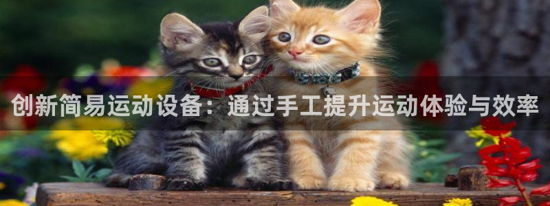 注册好博体育官方正版app：创新简易运动设备：通过手工提升运