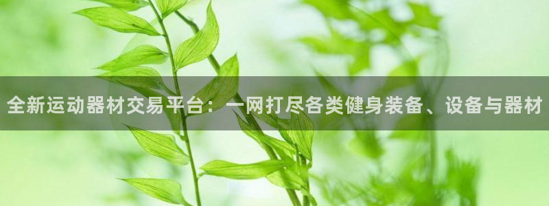 好博体育官方正版app集团官网首页：全新运动器材交易平台：一