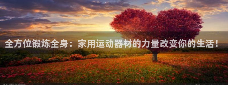 好博体育官网下载平台注册流程图：全方位锻炼全身：家用运动器材