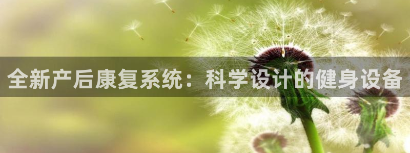 海南好博体育官网下载：全新产后康复系统：科学设计的健身设备