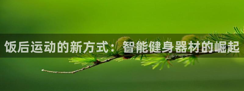 海南好博体育官网下载：饭后运动的新方式：智能健身器材的崛起
