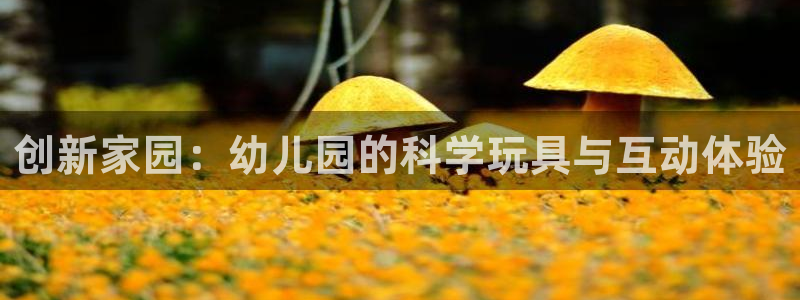 好博体育官网下载招商电话是多少啊：创新家园：幼儿园的科学玩具