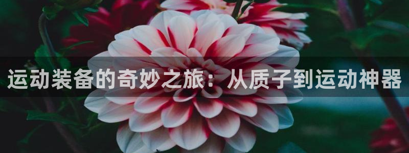 好博体育官网下载平台：运动装备的奇妙之旅：从质子到运