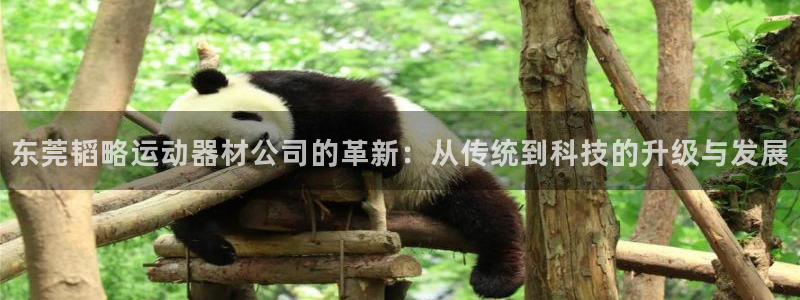 好博体育官网下载招商电话号码查询是多少：东莞韬略运动器材公司