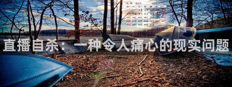 so米直播体育平台