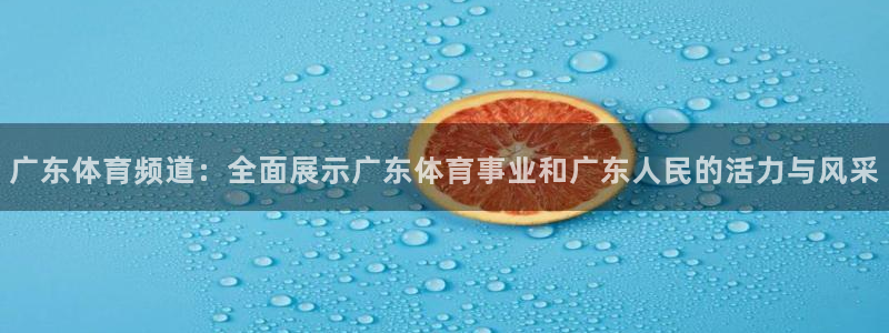 so米足球比赛直播：广东体育频道：全面展示广东体育事业和广东人民的活力与风采