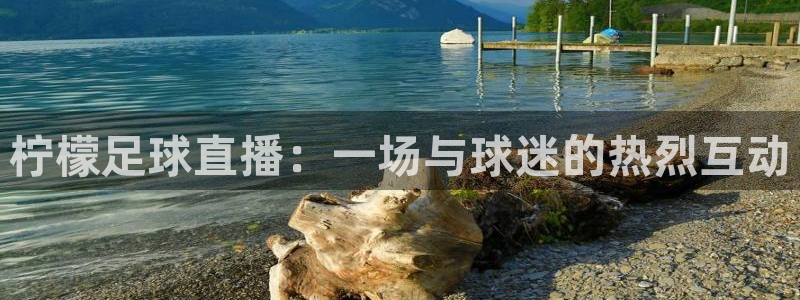 搜米so米体育直播nba赛事：柠檬足球直播：一场与球迷的热烈互动